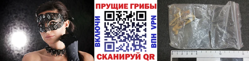 Псилоцибиновые грибы GOLDEN TEACHER  mega маркетплейс  Трубчевск  даркнет сайт 